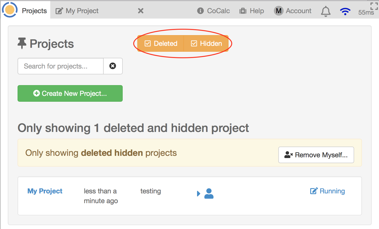 showing projects that are both hidden and deleted in the project list
